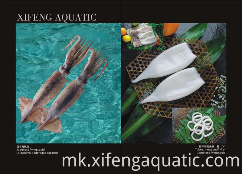 Тодародес Пацификус Todarodes Pacificus